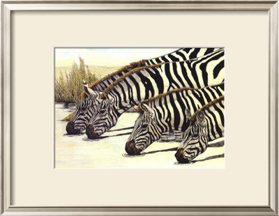 Four Zebras Drinking by Charles L. Berry Pricing Limited Edition Print image