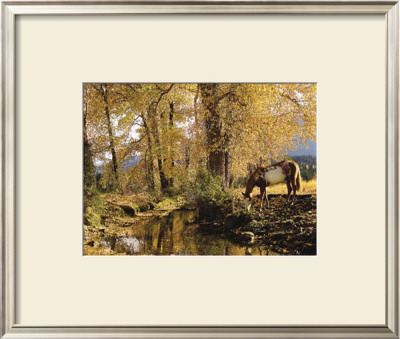 Fall Colors by Robert Dawson Pricing Limited Edition Print image