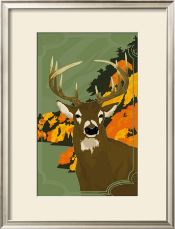 Whitetail by Michael Lavasseur Pricing Limited Edition Print image