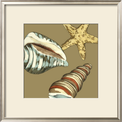 Shell Trio On Khaki I by Megan Meagher Pricing Limited Edition Print image