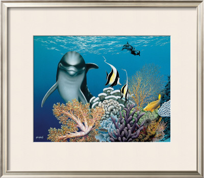 Coral Garden And Dolphin by Mark Mackay Pricing Limited Edition Print image