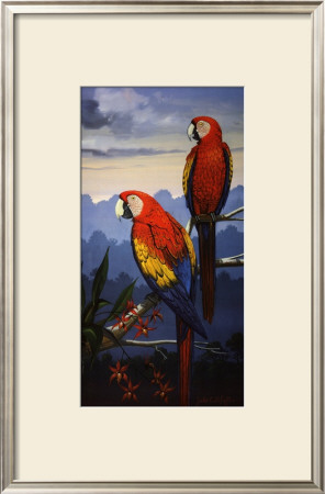 Scarlet Macaw by Jules Scheffer Pricing Limited Edition Print image