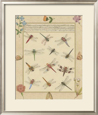 Dragonfly Manuscript I by Jaggu Prasad Pricing Limited Edition Print image