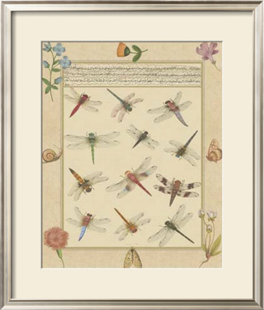 Dragonfly Manuscript I by Jaggu Prasad Pricing Limited Edition Print image