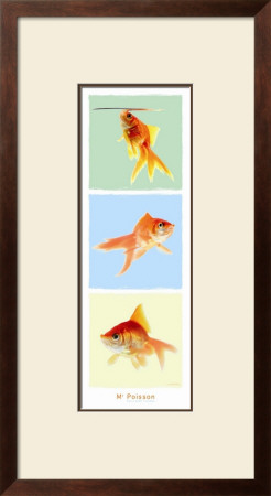 Mr Poisson by Guillaume Plisson Pricing Limited Edition Print image