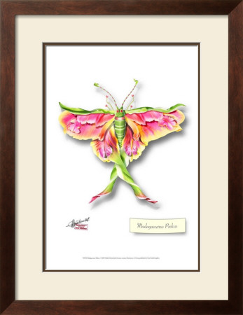 Madagascarus Pinkus by Michel Tcherevkoff Pricing Limited Edition Print image