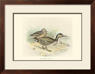 Teal by F.W. Frohawk Pricing Limited Edition Print image