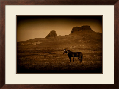 Two Horse Companion by Jim Tunell Pricing Limited Edition Print image