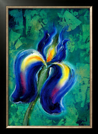 Iris Ii by Marcella Rose Pricing Limited Edition Print image