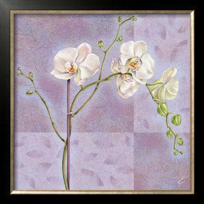 White Joanie Orchid by Eleanor Rahim Pricing Limited Edition Print image