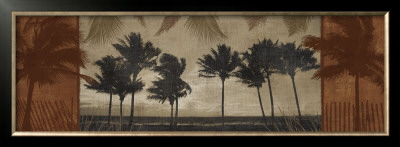 Sunlit Palms Ii by Harold Silverman Pricing Limited Edition Print image