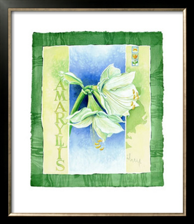 Amaryllis by Franz Heigl Pricing Limited Edition Print image