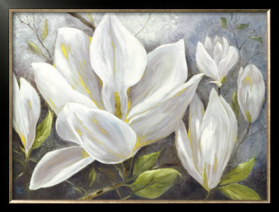 Tender Magnolia Ii by Anna Field Pricing Limited Edition Print image