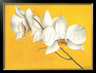 Orchid's Yellow Symphony by Caroline Wenig Pricing Limited Edition Print image