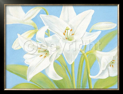 White Lily by Susanne Bach Pricing Limited Edition Print image