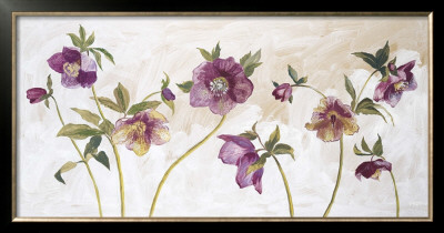 Helebores by Valerie Roy Pricing Limited Edition Print image