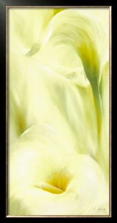 Here Comes The Sun I by Annette Schmucker Pricing Limited Edition Print image