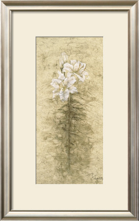 Lily Fair by B. J. Zhang Pricing Limited Edition Print image