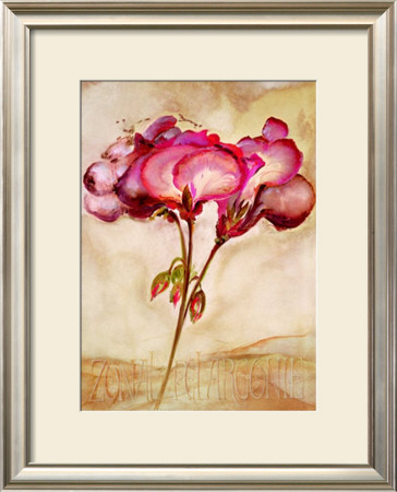 Zonal Pelargonie by Heide Konig Pricing Limited Edition Print image