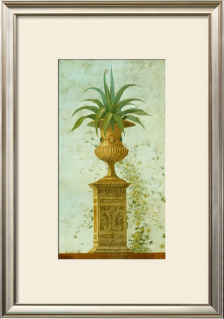 Pedastale Con Plantas by Javier Fuentes Pricing Limited Edition Print image