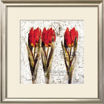 Tulipa Formation by Joadoor Pricing Limited Edition Print image