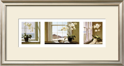 Orchid Tryptych by Zhen-Huan Lu Pricing Limited Edition Print image