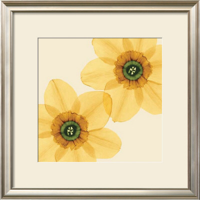 Delicate I by Val Andre Pricing Limited Edition Print image