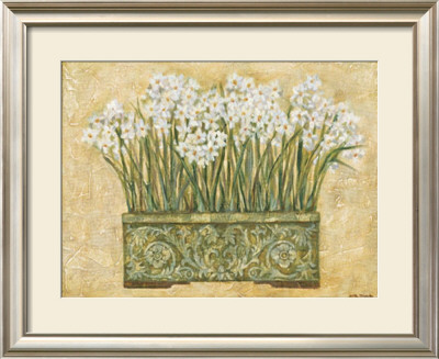 White Narcissus by Eva Misa Pricing Limited Edition Print image