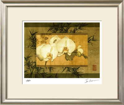 Bamboo & Orchids Ii by Ives Mccoll Pricing Limited Edition Print image