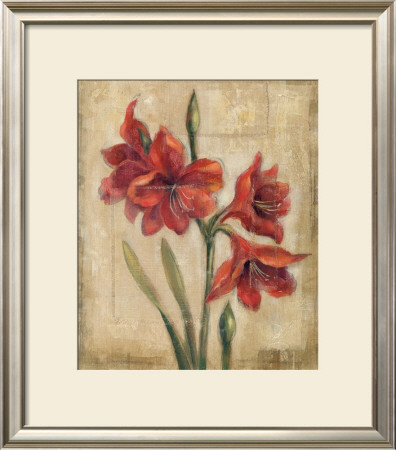 Scarlett Blossom I by Silvia Vassileva Pricing Limited Edition Print image