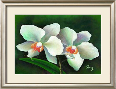 Flores Oscuro I by Cruz Pricing Limited Edition Print image