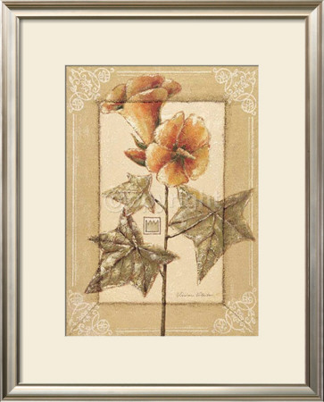 Hibiscus Abelmoschus by Vivien White Pricing Limited Edition Print image
