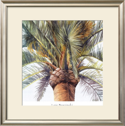 Roma Palm by Lois Brezinski Pricing Limited Edition Print image
