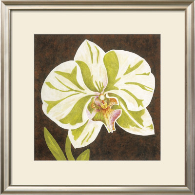 Surabaya Orchid I by Judy Shelby Pricing Limited Edition Print image