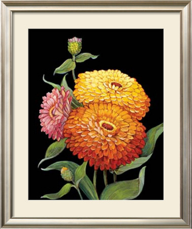 Midnight Bloom Ii by Susan Jeschke Pricing Limited Edition Print image