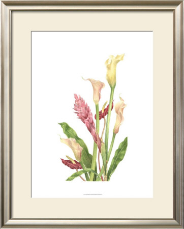 Tropical Bouquet Ii by Pamela Shirley Pricing Limited Edition Print image