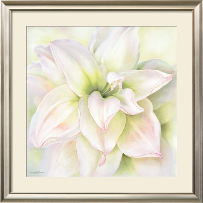 Amaryllis Ii by Annemarie Peter-Jaumann Pricing Limited Edition Print image