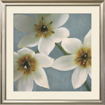 Lily Parfait I by Janel Pahl Pricing Limited Edition Print image