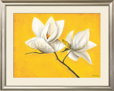 Magnolia's Yellow Symphony by Caroline Wenig Pricing Limited Edition Print image