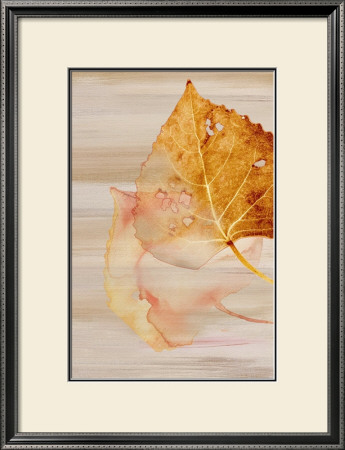 Autumn Radiance Ii by Shams & Saba Rasheed Pricing Limited Edition Print image