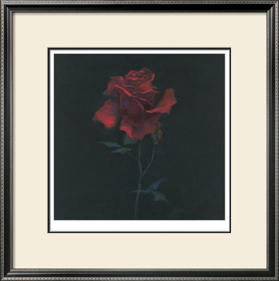 Floral Suite Iv by Rose Hohenberger Pricing Limited Edition Print image