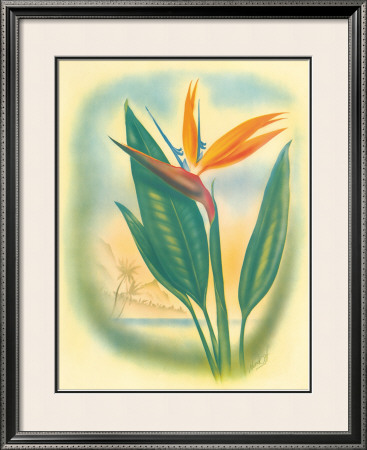 Hawaiian Bird Of Paradise by Ted Mundorff Pricing Limited Edition Print image