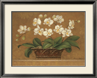 Orchid Tapestry by Pamela Gladding Pricing Limited Edition Print image