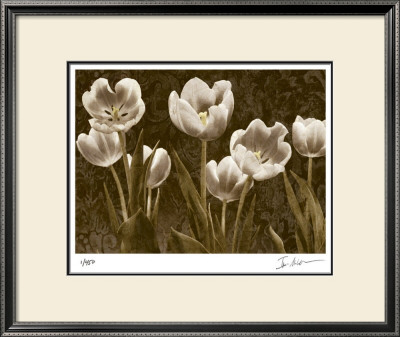 Baroque Tulips by Ives Mccoll Pricing Limited Edition Print image