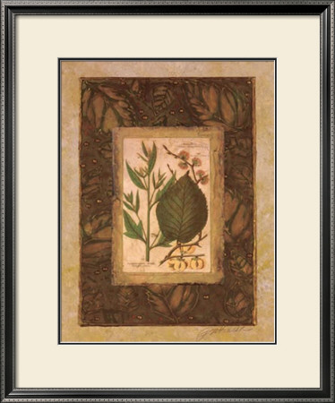 Leaf Study Ii by Merri Pattinian Pricing Limited Edition Print image