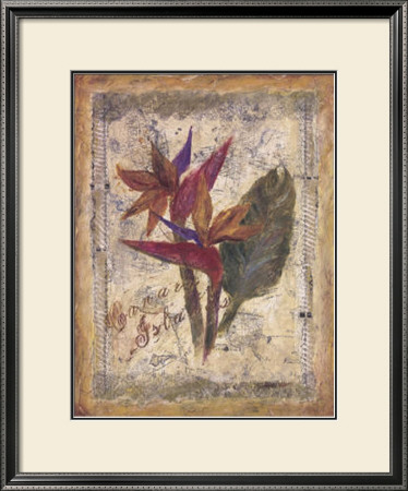 Birds Of Paradise by Shari White Pricing Limited Edition Print image