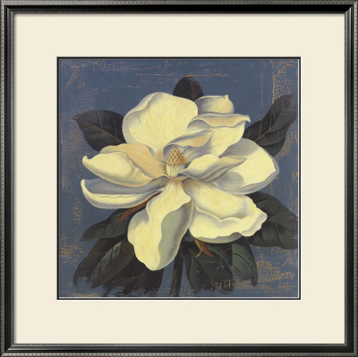 Glowing Magnolia by Curtis Parker Pricing Limited Edition Print image