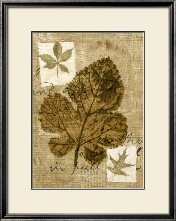 Leaf Collage Iv by Kate Archie Pricing Limited Edition Print image
