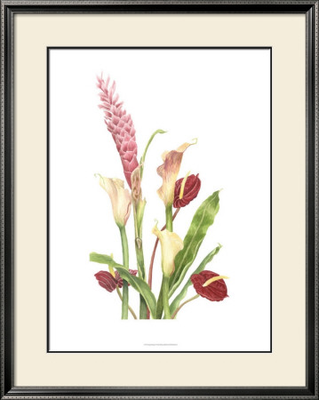 Tropical Bouquet I by Pamela Shirley Pricing Limited Edition Print image