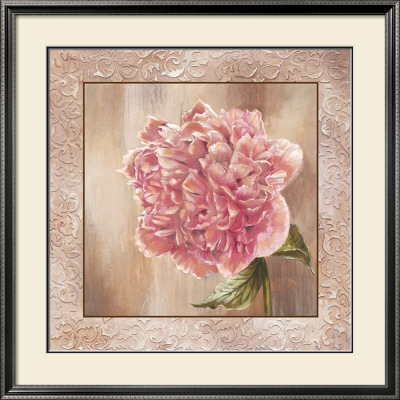 Pivoines Ii by Selina Werbelow Pricing Limited Edition Print image